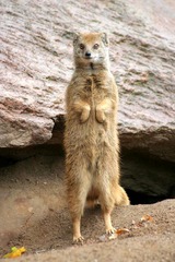 Killikus&reg; Fotographie